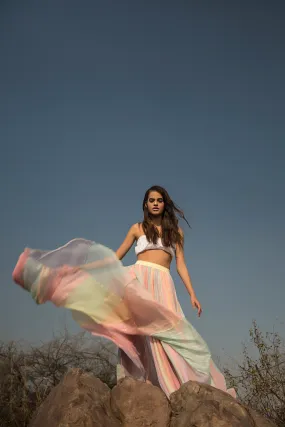 Pastel Rainbow skirt